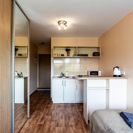 Studio Apartment Kaunas Room photo